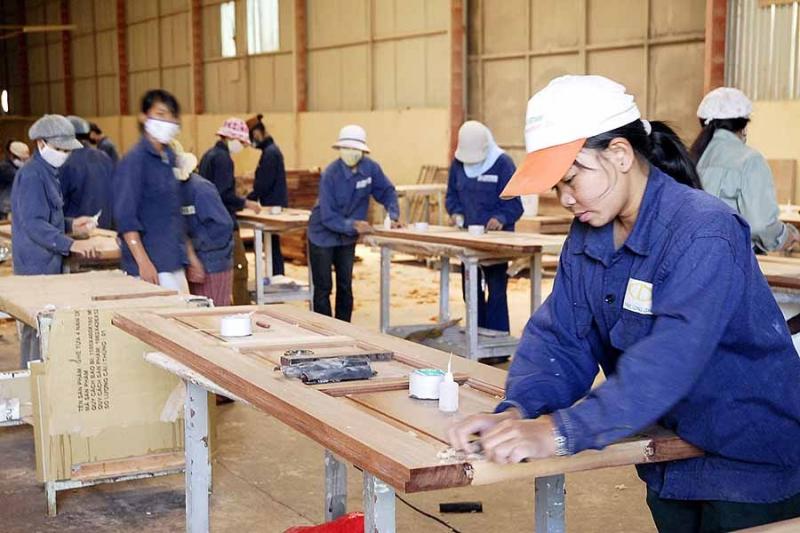 Công ty cổ phần tập đoàn Đức Long Gia Lai