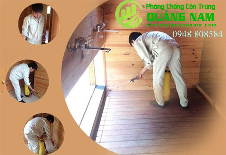 Công ty phòng chống côn trùng Quảng Nam