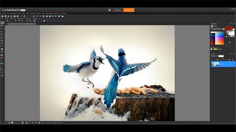 Corel PaintShop Pro
