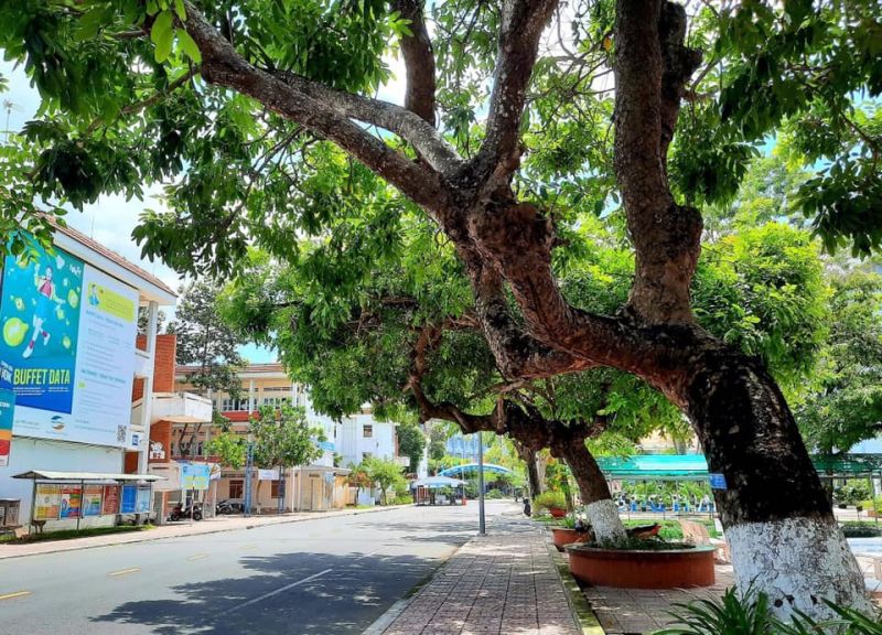 Đại học Đồng Tháp
