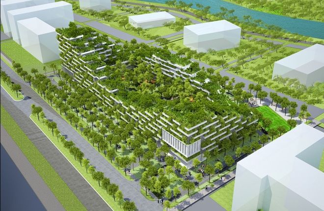 Sắc xanh ngập tràn ngôi trường này