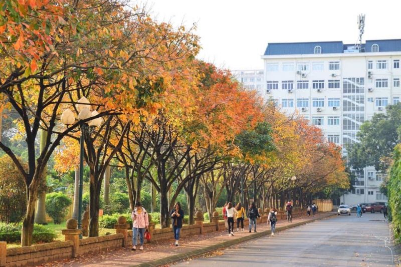Đại học sư phạm Hà Nội