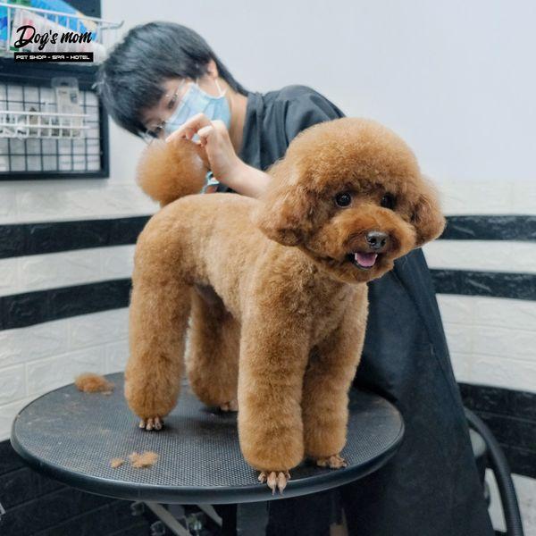 Dogs Mom Pet Spa