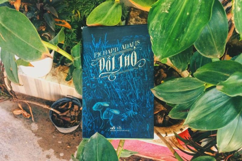 Đồi Thỏ