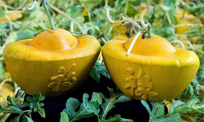 Dưa hấu vàng ngày Tết