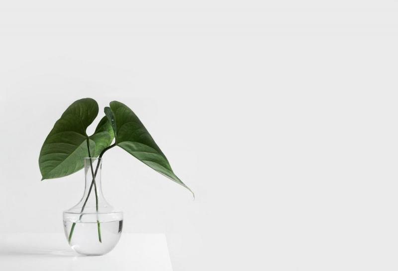 Dùng các từ ngữ đơn giản để biểu đạt