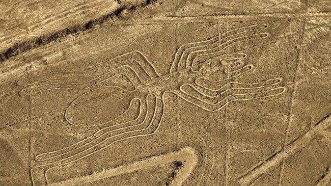Đường kẻ Nazca Lines (Peru)