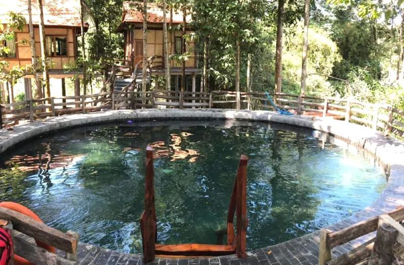 Green Bamboo Lodge .Enjoy Nature