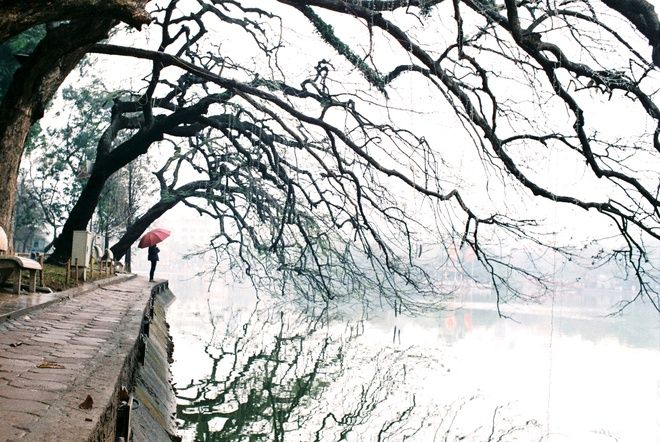 Bây giờ đang cuối mùa đông