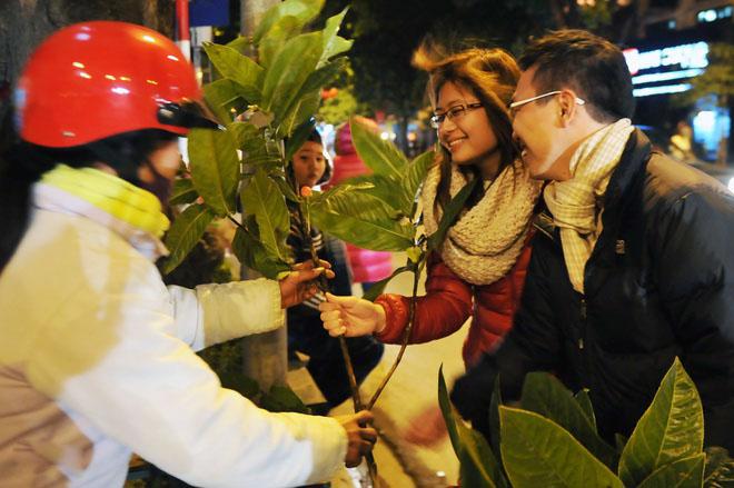 Bán cành lộc thu về kha khá lợi nhuận