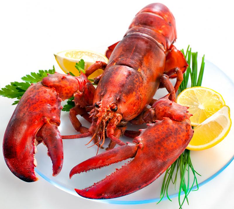 Hệ thống Nhà hàng Cây Bưởi