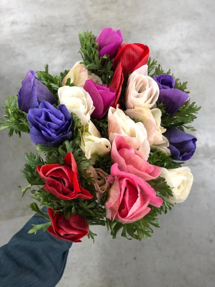 Nhẹ nhàng, lạ mắt
