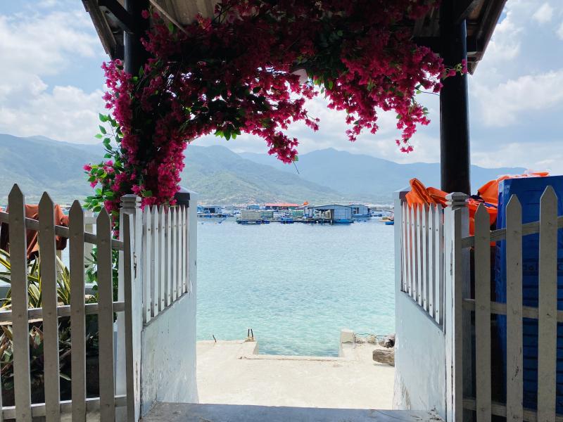 Homestay Thanh Việt