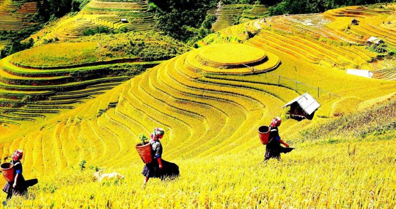 Khám phá Sapa mùa cuối thu
