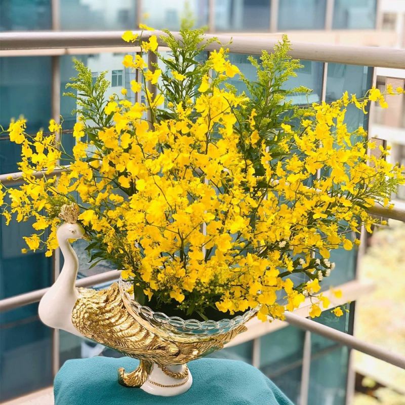 Lan Vũ Nữ thường trổ hoa vào dịp xuân hè.