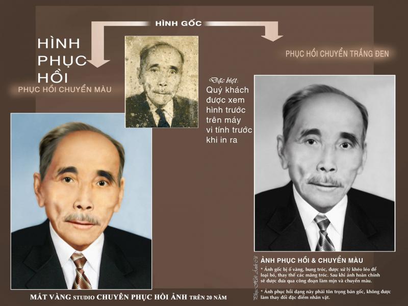 Mắt Vàng Studio