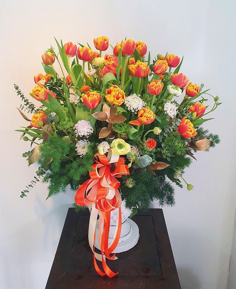 Tulip - chỉ có thể là yêu