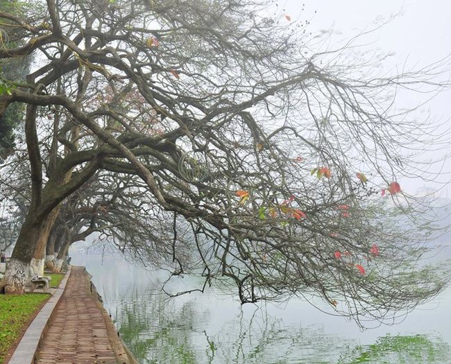 Một ngày mùa đông có mưa phùn.