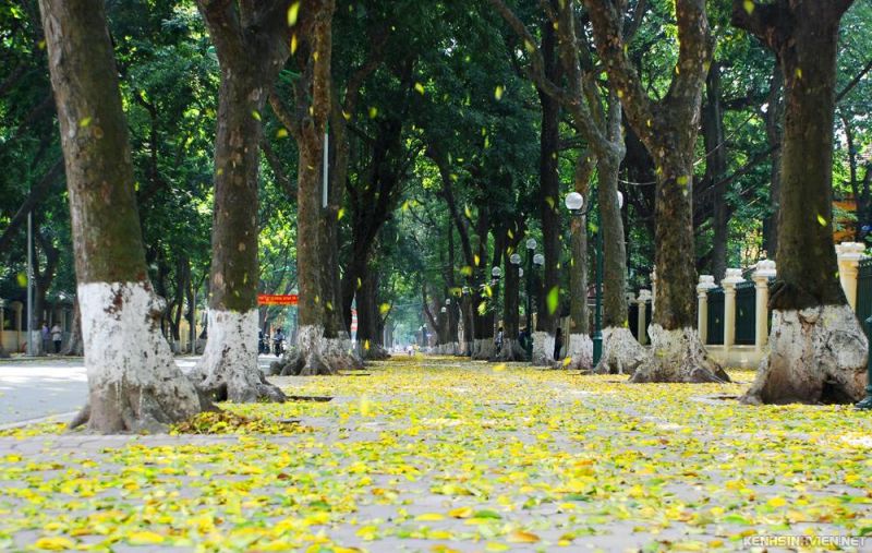 Viết cho thu Hà Nội