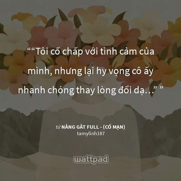 Tình yêu chính là một loại cố chấp
