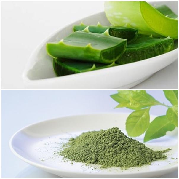 Nha đam + tinh dầu trà xanh