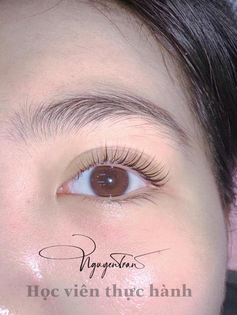 Nối Mi Nguyễn Trân