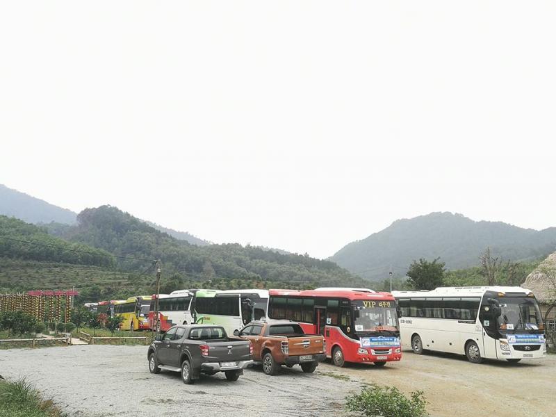 Nông trại Hoa hồng đón các đoàn khách