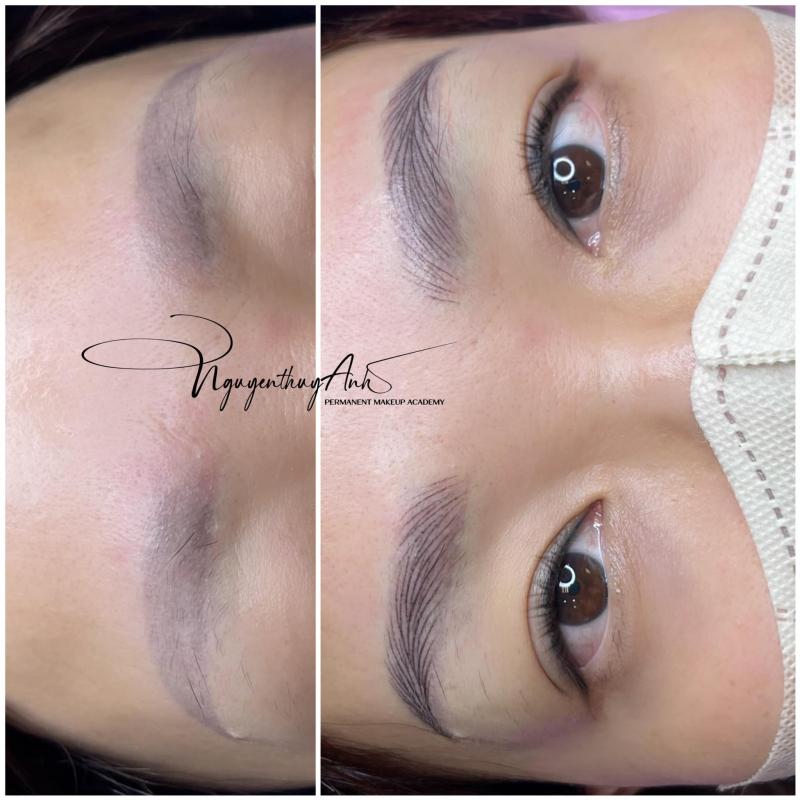 NTA Permanent Make Up