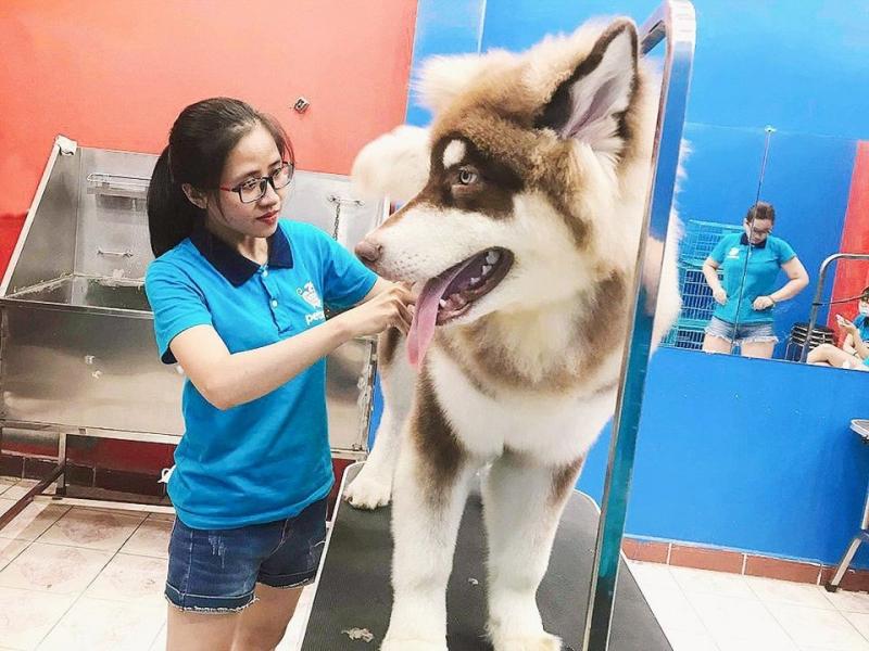Pet Mart