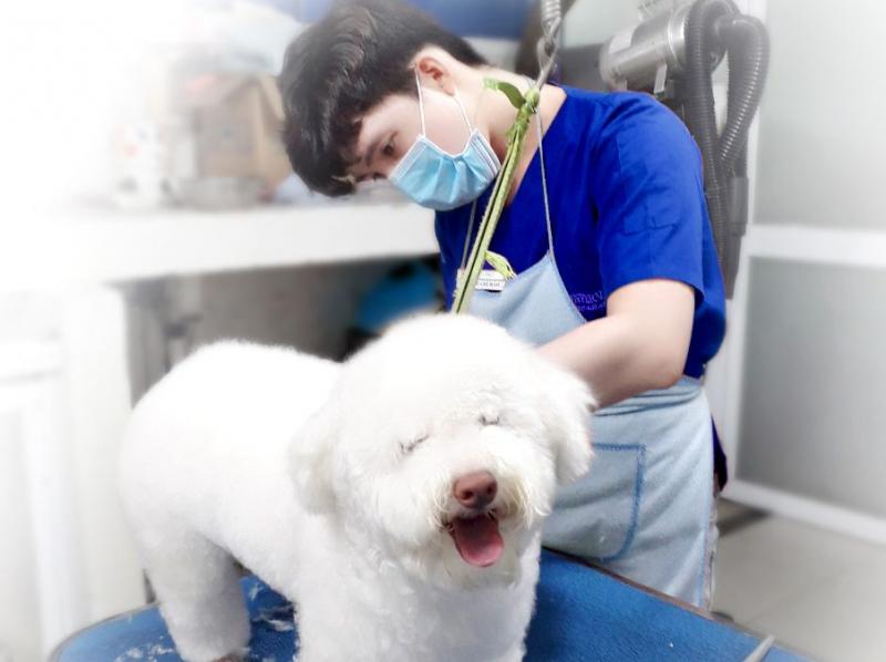 Pet Pro