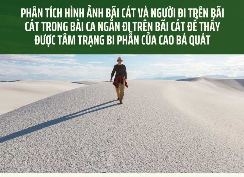 Ảnh minh họa (Nguồn internet)