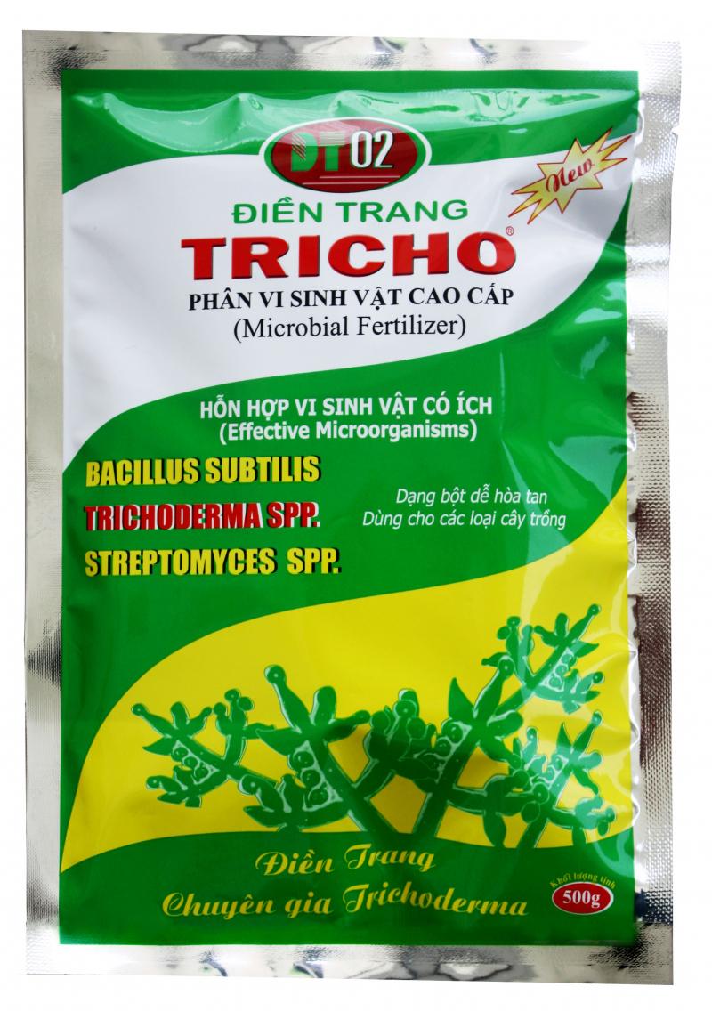 PM028. ĐIỀN TRANG TRICHO