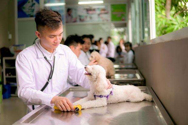 Phòng khám thú y Pet 38