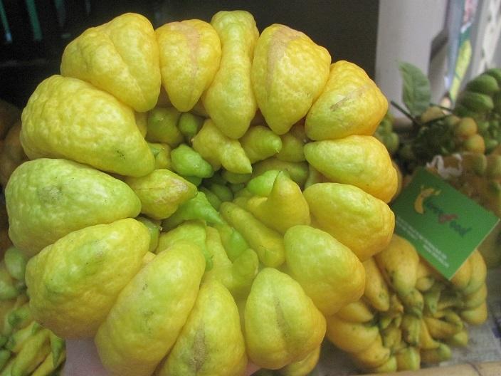 Quả phật thủ