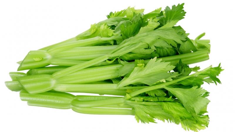 Rau cần tây