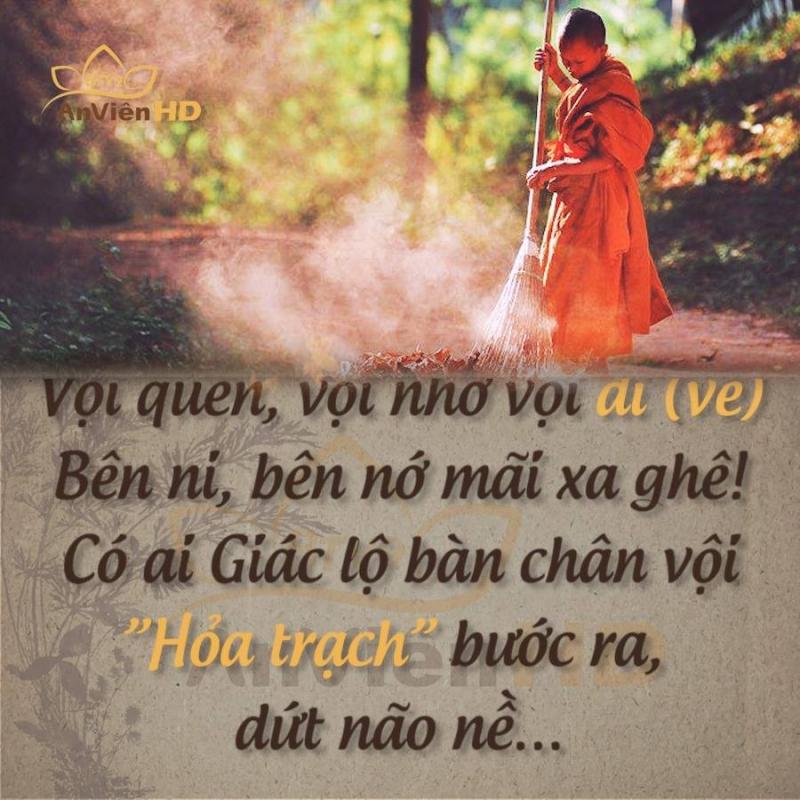 Sống vội - Thích Tánh Tuệ (Ảnh minh họa - Nguồn Internet)