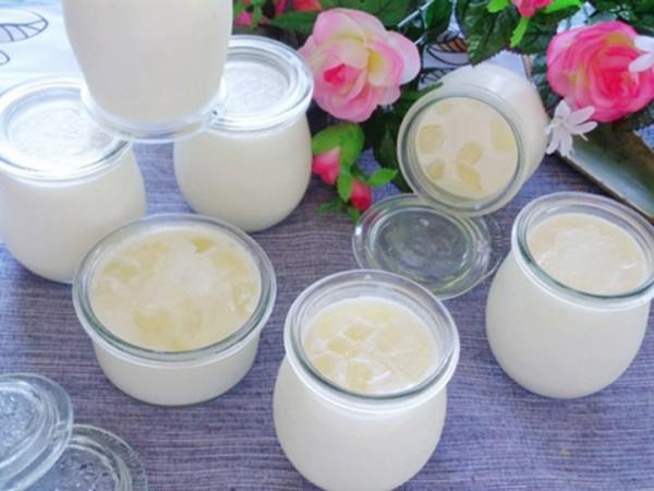 Hỗn hợp sữa chua sau khi để nguội được chia ra các hũ để ủ