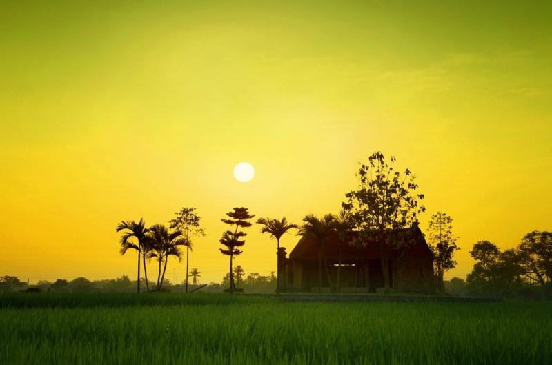 Những thanh âm ngày xưa