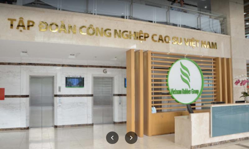Tập đoàn Công nghiệp Cao su Việt Nam (VRG)