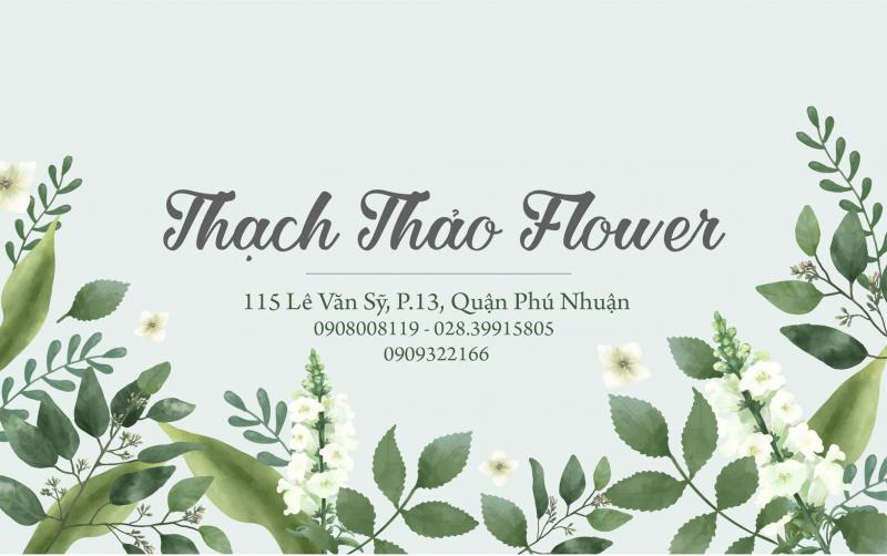 Thạch Thảo Flower