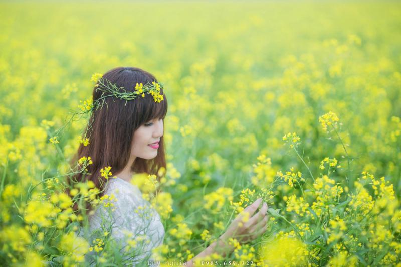 Thế là hoa cải vàng bông