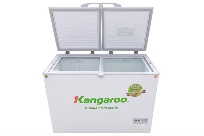 Các thương hiệu phổ biến của tủ đông