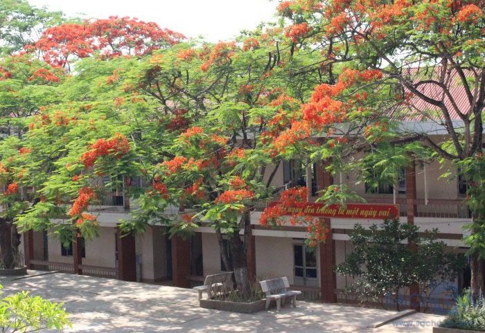 TRƯỜNG XƯA