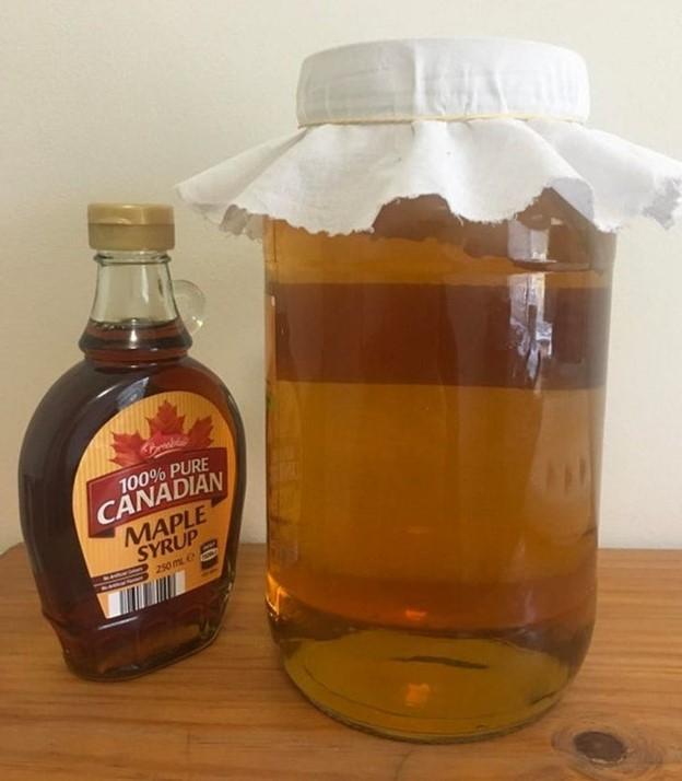 © Kom_bu_cha / Reddit