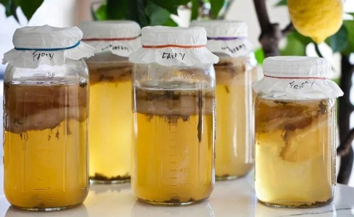 Trà Kombucha