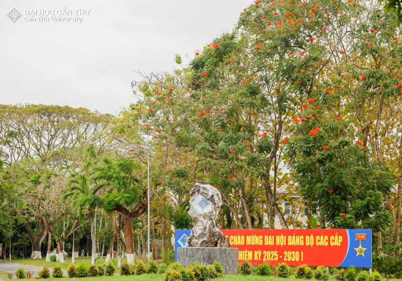 Trường Đại học Cần Thơ