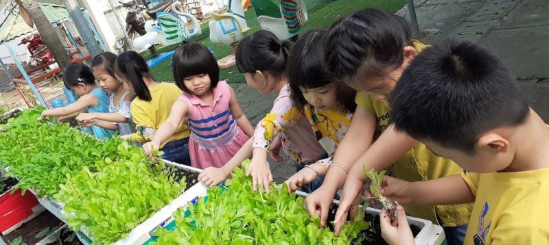 Trường Mầm Non Hoa Cúc