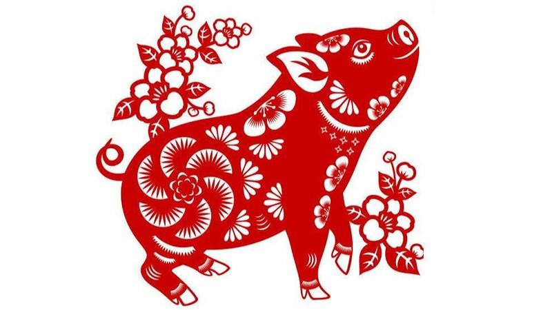Tuổi Hợi