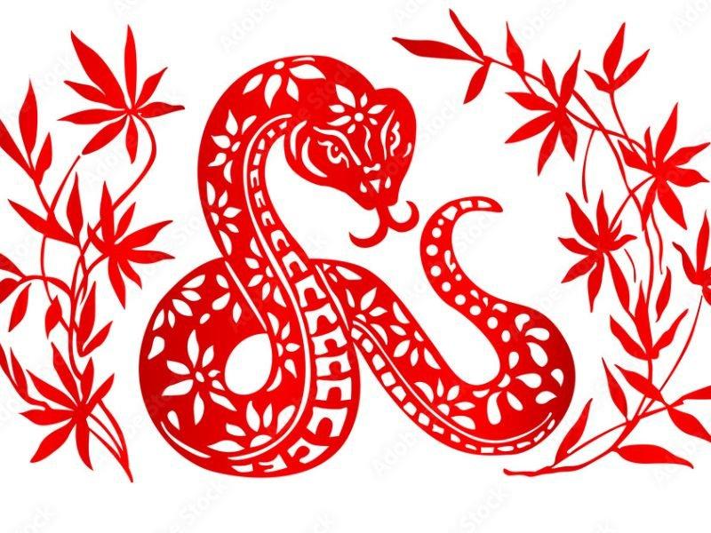 Tuổi Tỵ