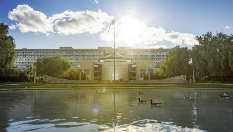 Đại học York